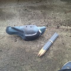 pigion decoys