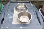 dog bowls