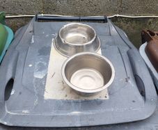 dog bowls
