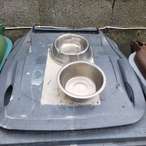 dog bowls