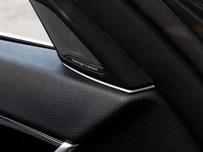 BMW F10 Speaker Gap Trim