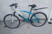 Teen/adults Bike