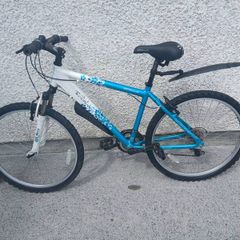 Teen/adults Bike