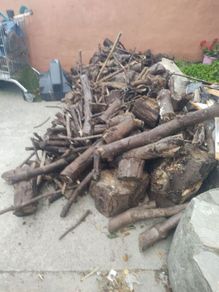 Free Fire Wood