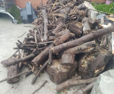 Free Fire Wood