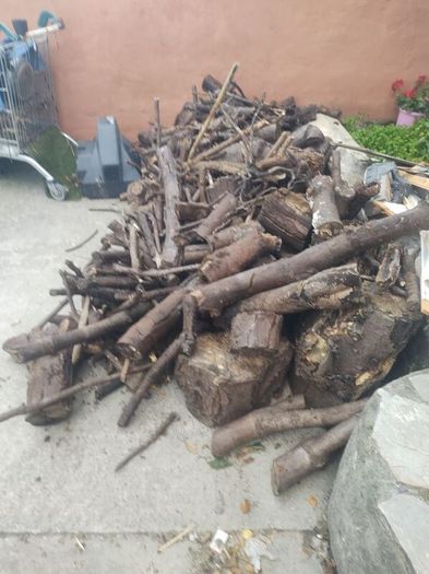 Free Fire Wood