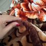 Turkish blanket Image 5