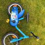 kids bike Image 5