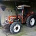 Tiger31