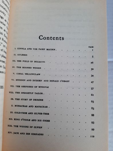 Celtic fairy tales vintage 1995
