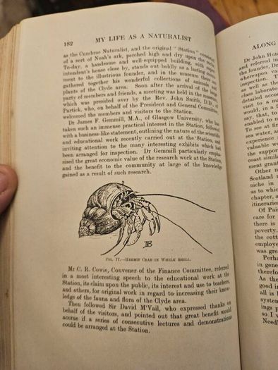 My Life As A Naturalistic. By W. Percival Westell. First Edition 1918 Hardback In Fair Condition.  See Photos For Same.