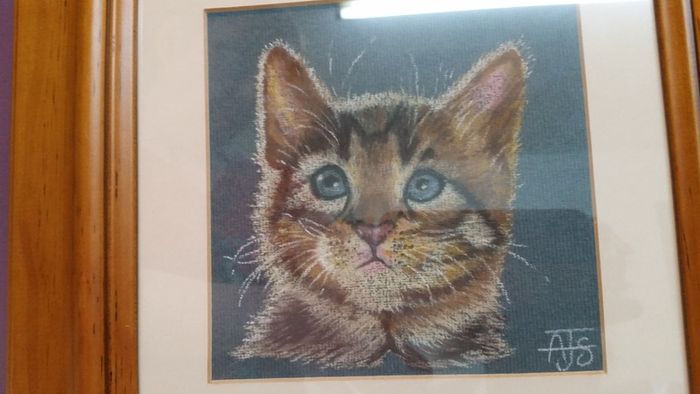 Watercolour of cat