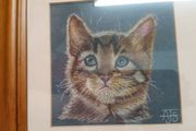 Watercolour of cat