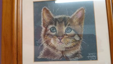 Watercolour of cat