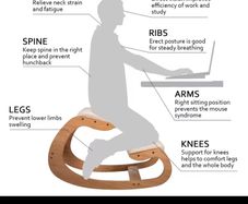 Ergonomic Chair