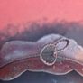 Stunning Franz Caffrey Large Fruit Bowl, small chip Image 7