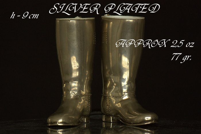 SILVER PLATED souvenir .