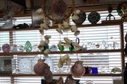 Windchime seashell