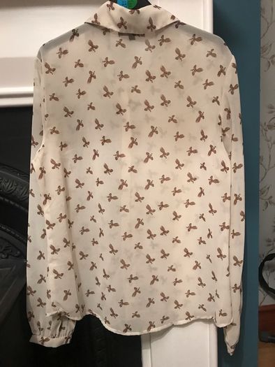 Chiffon Shirt