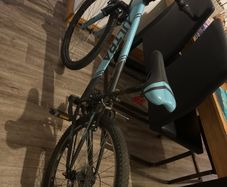ultra bike