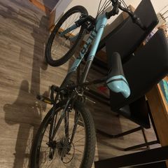 ultra bike