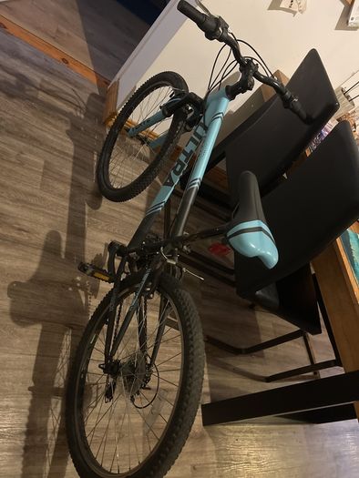 ultra bike