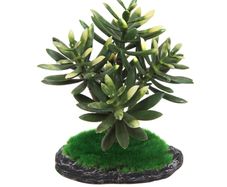 Aqua Nova Artificial Plant 15cm REP17015