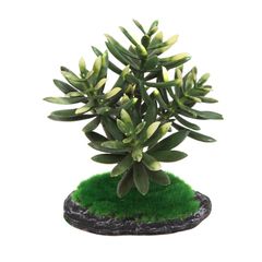 Aqua Nova Artificial Plant 15cm REP17015