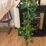 Artificial vine Image 2