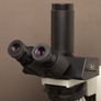 Olympus BX50F4 Trinocular Microscope Image 7