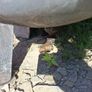 pressure vessel Image 8
