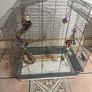 Birds cage Image 4