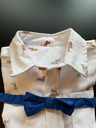 baby shirt and tie