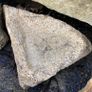 Granite birdbaths Image 7
