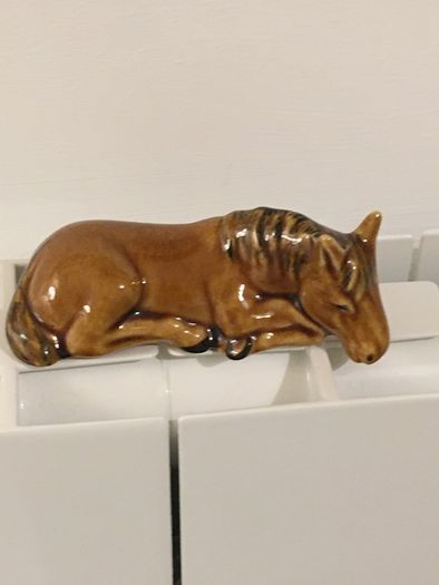 Pony