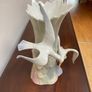 Porcelain Vase - Porceval Image 7