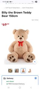 Extra large teddy