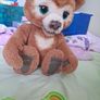 teddy bear Image 5