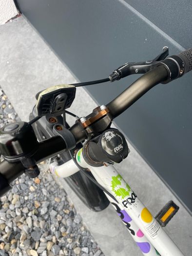 Frog Bike