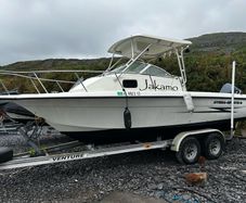25ft Motor boat