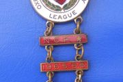 OXFORDSHIRE ROAD SAFETY LEAGUE (child's road safety courses) - award badge with 4 bars (1960's). Rare with added bars.