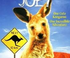 Joey (dvd)