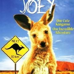 Joey (dvd)