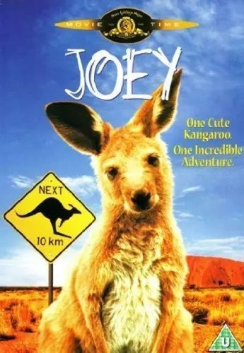 Joey (dvd)