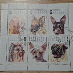 Bulgaria 1991 Miniature Sheet "Dogs", cancelled - free standard postage