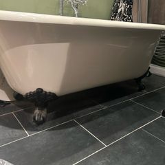 bath