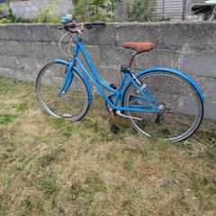 old ladies bike
