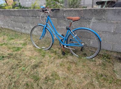 old ladies bike