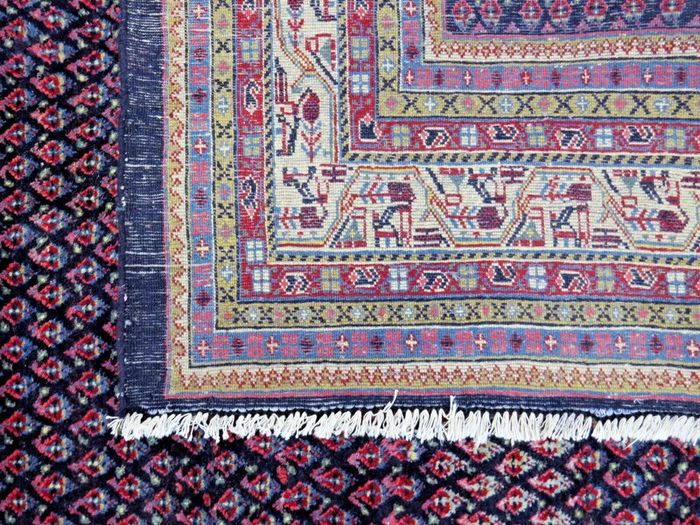 P.ersian Rug Sarok 315x225cm (SAfe)
