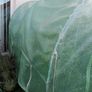 Greenhouse Image 2